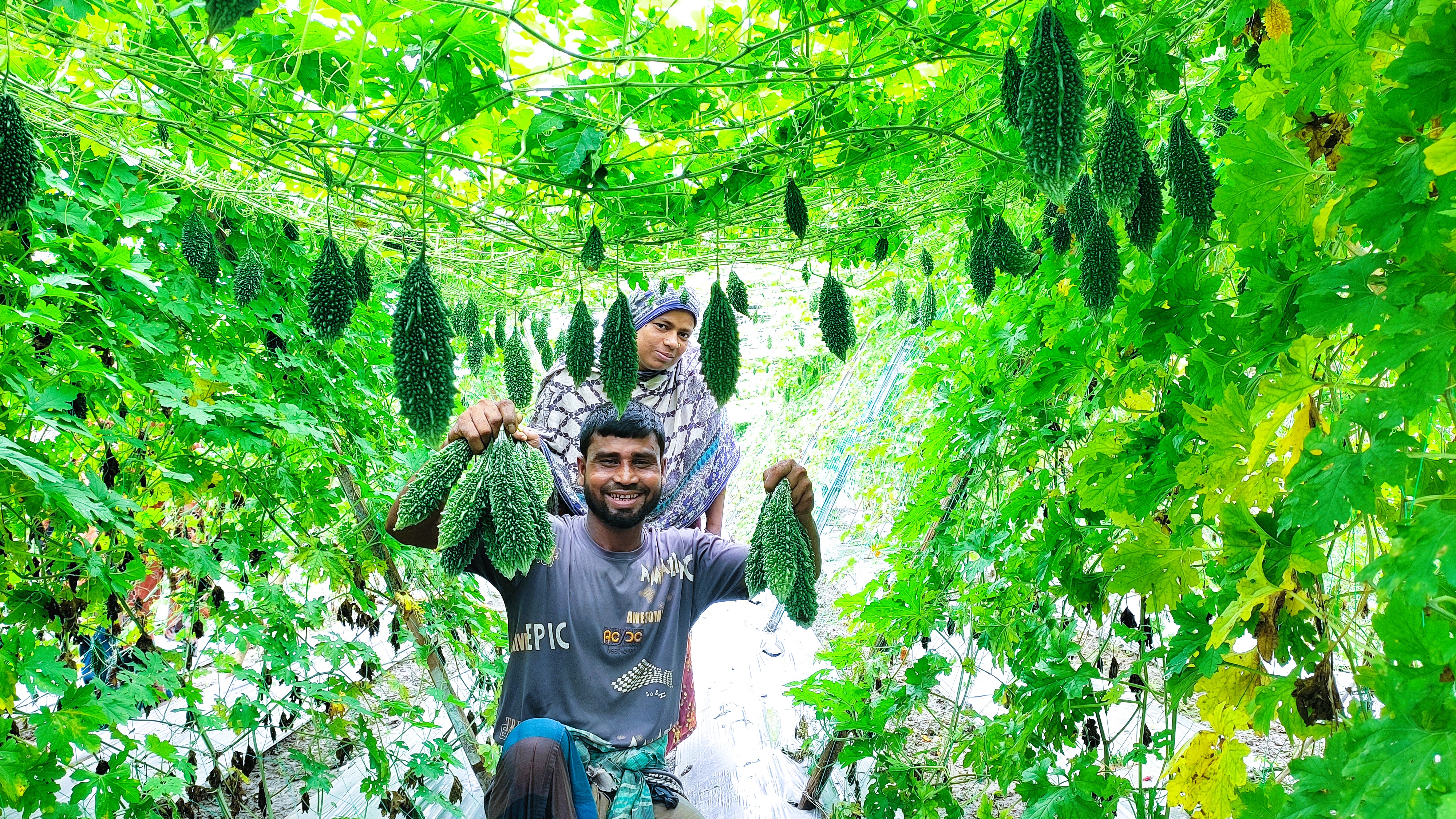 Vegetable Nursery